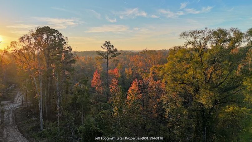 Claiborne Co-151-Geronimo-07