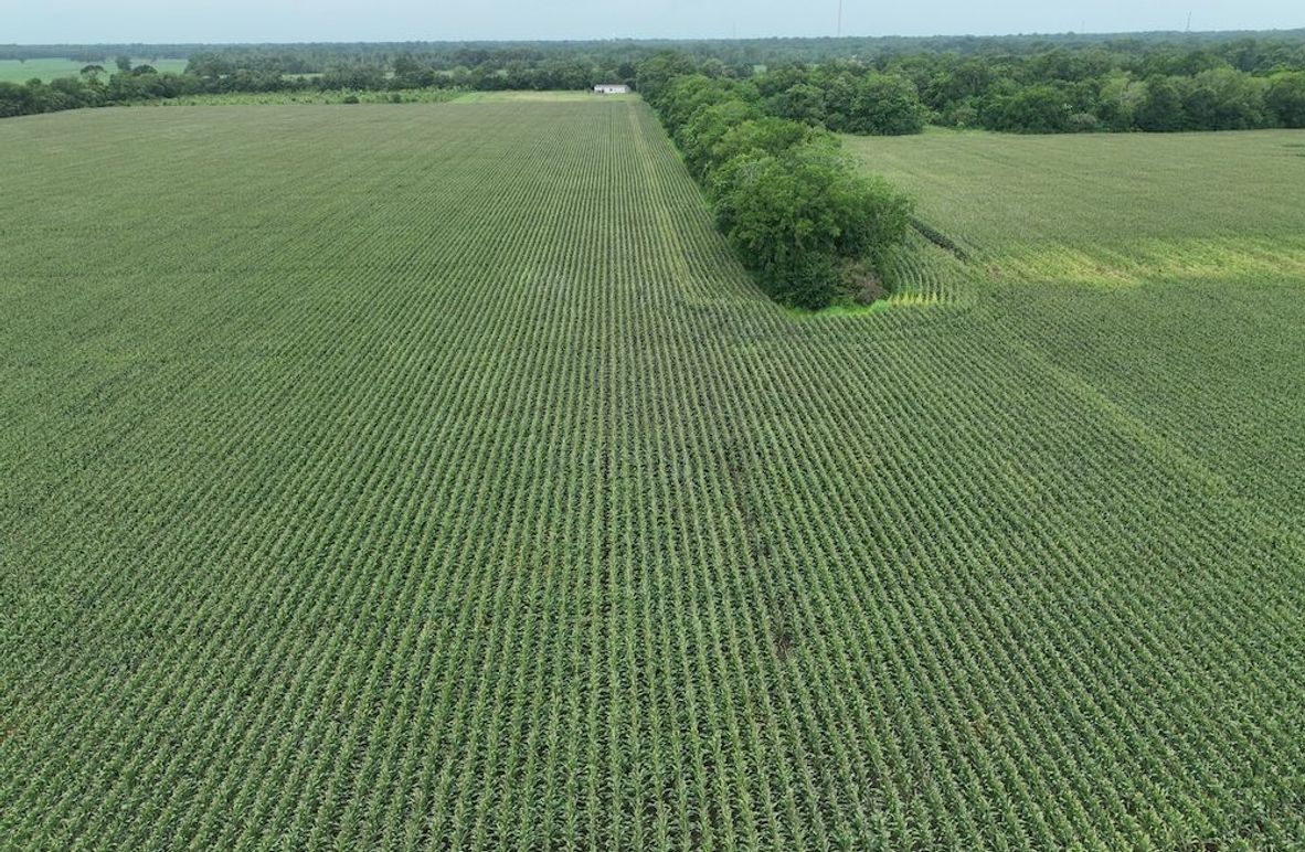 dji_fly_20240620_102356_544_1718899042430_photo