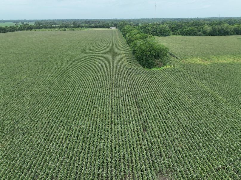 dji_fly_20240620_102356_544_1718899042430_photo