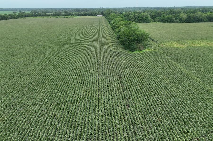 dji_fly_20240620_102356_544_1718899042430_photo