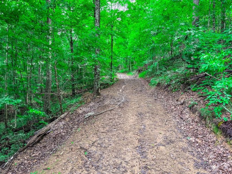 Wirt, WV 137.45 AC Full-11