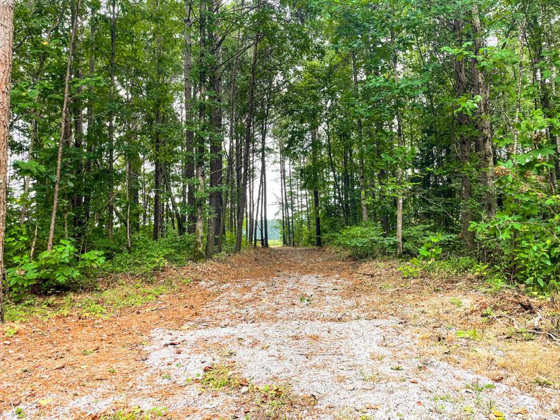 63719303-8796-43ED-B263-81C6C23A7BC1