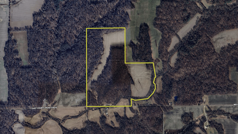 Screenshot 2025-08-07 082411