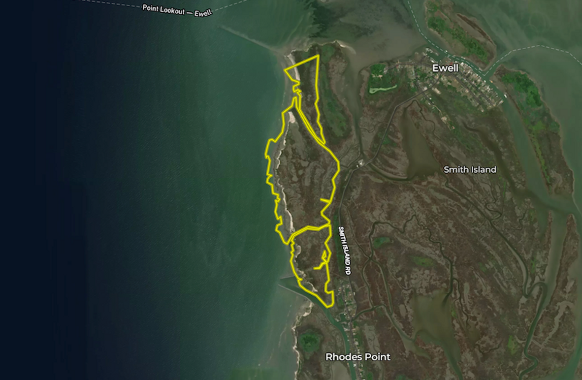 Screenshot 2025-03-07 at 3.11.25 PM