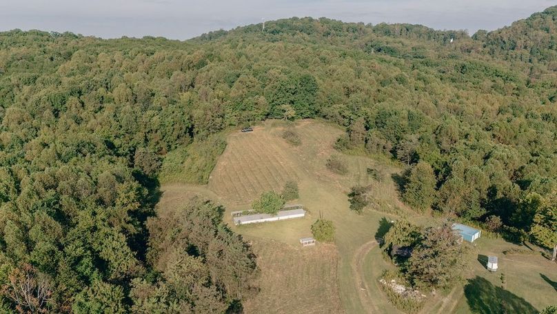 Miller-Hawkins pic 18