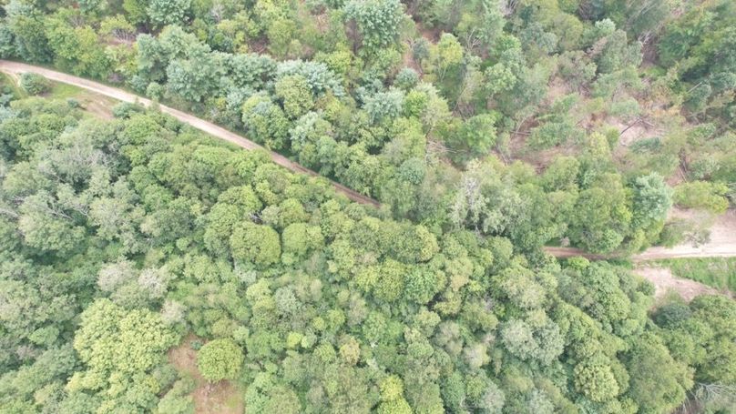 dji_fly_20250806_140832_591_1754530438017_photo