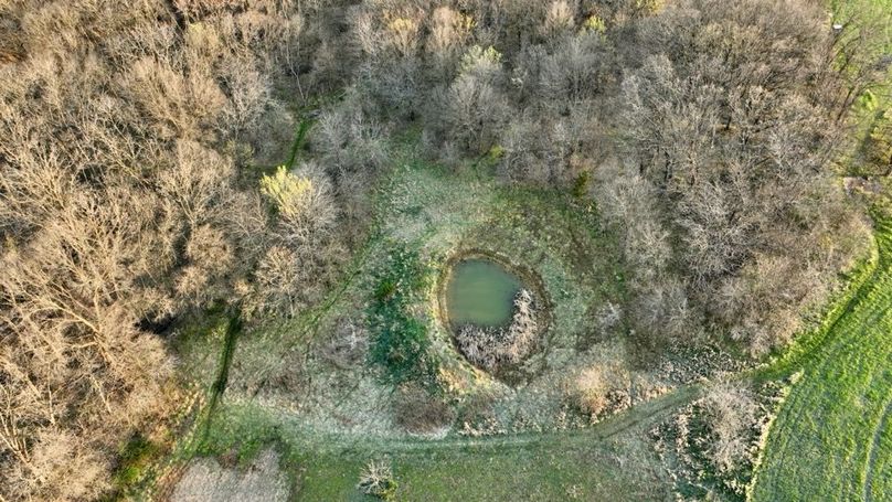 DJI_0295