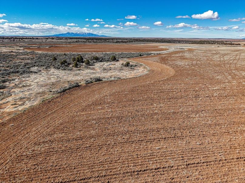 DJI_20260307141524_0109_D