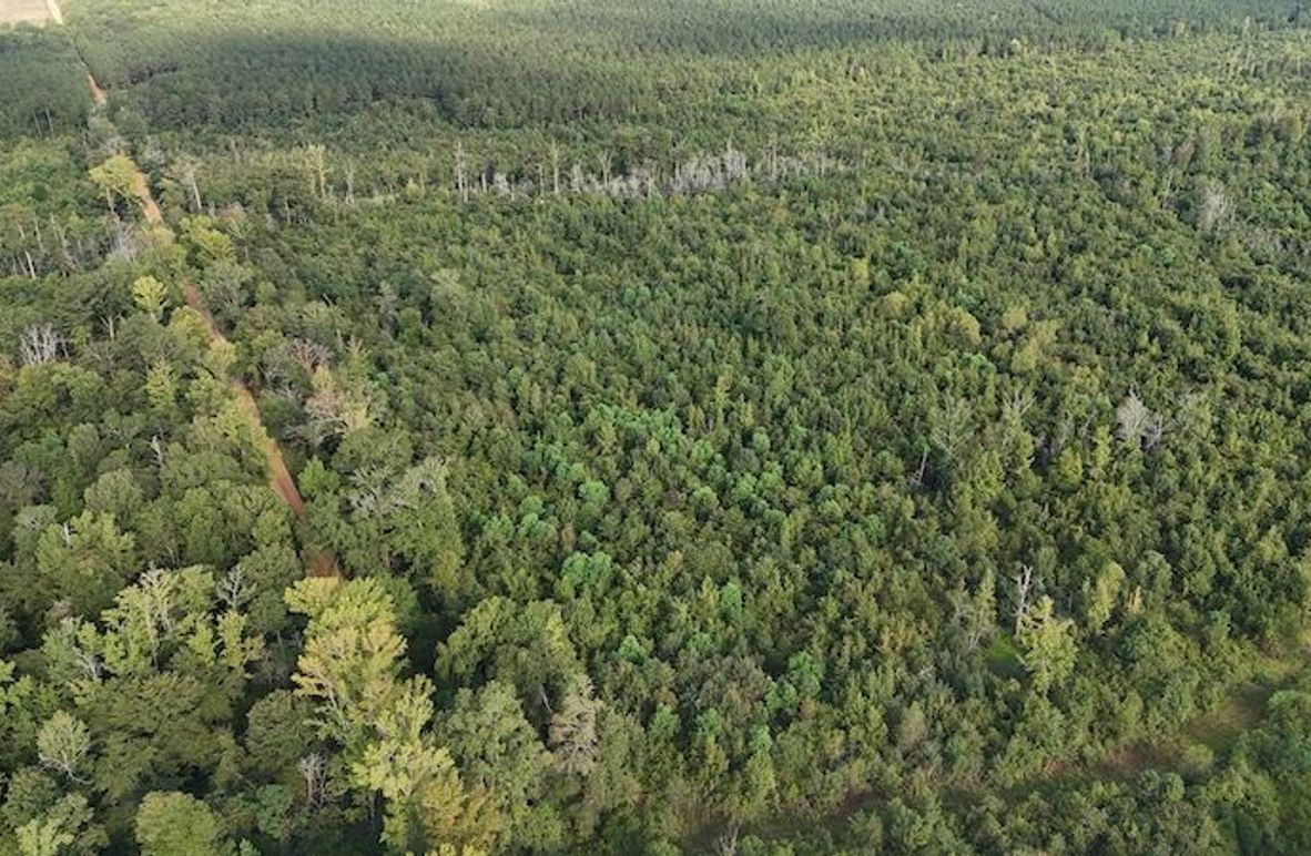 DJI_20250814084649_0051_D