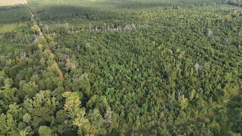 DJI_20250814084649_0051_D