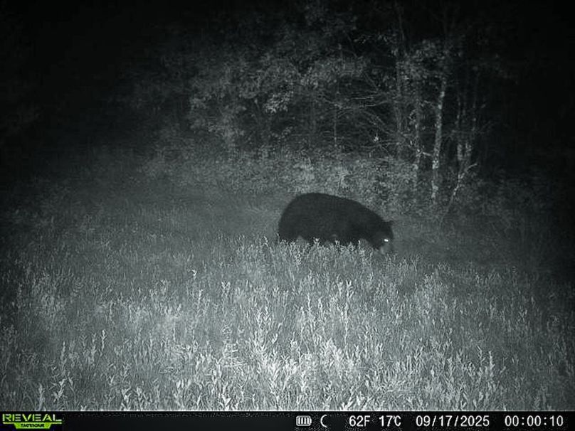 Juneau 27 Wiesner -059