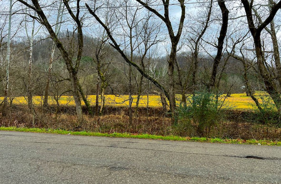 Calhoun, WV 225.69 AC Duffield-04