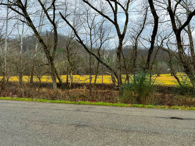 Calhoun, WV 225.69 AC Duffield-04