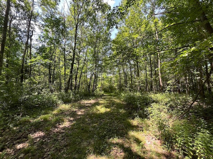 Yates_9_Dunlop Photo 21