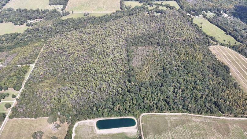 DJI_20250923005042_0743_D