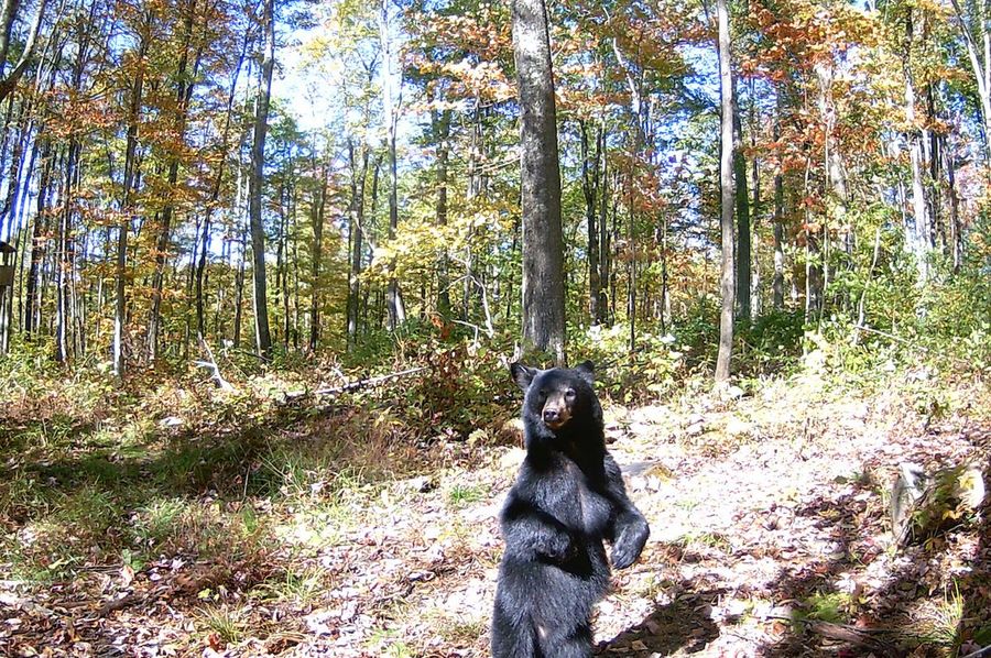 Webster, WV 21.15 AC HardwayCamp-25