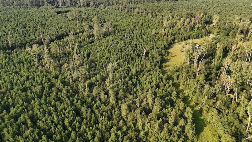 dji_fly_20250903_215916_0024_1756926951089_photo