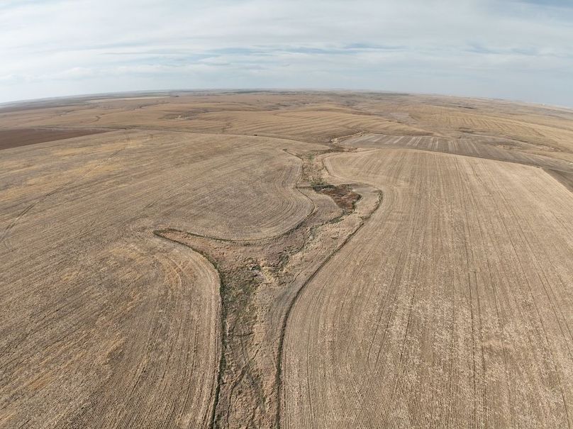 DJI_0386