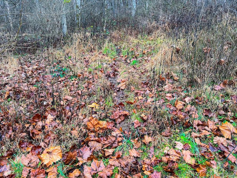 Calhoun, WV 225.69 AC Duffield-27