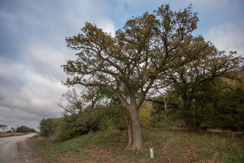 MONONA CO IA 14.95_57