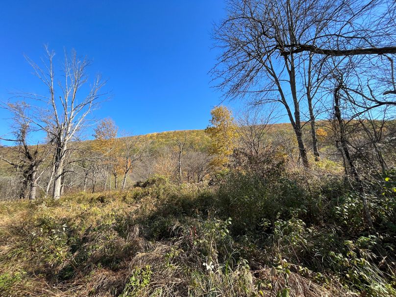 Schuyler_25.155_Ennis_Photos_24