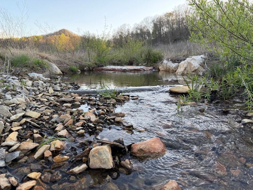 001 the main blue line stream running through the property