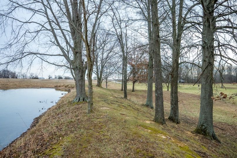 Copy of DSC00734 Large