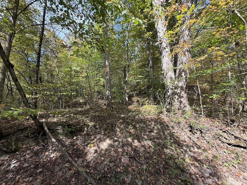 Tioga_30_Flanner Photo 28