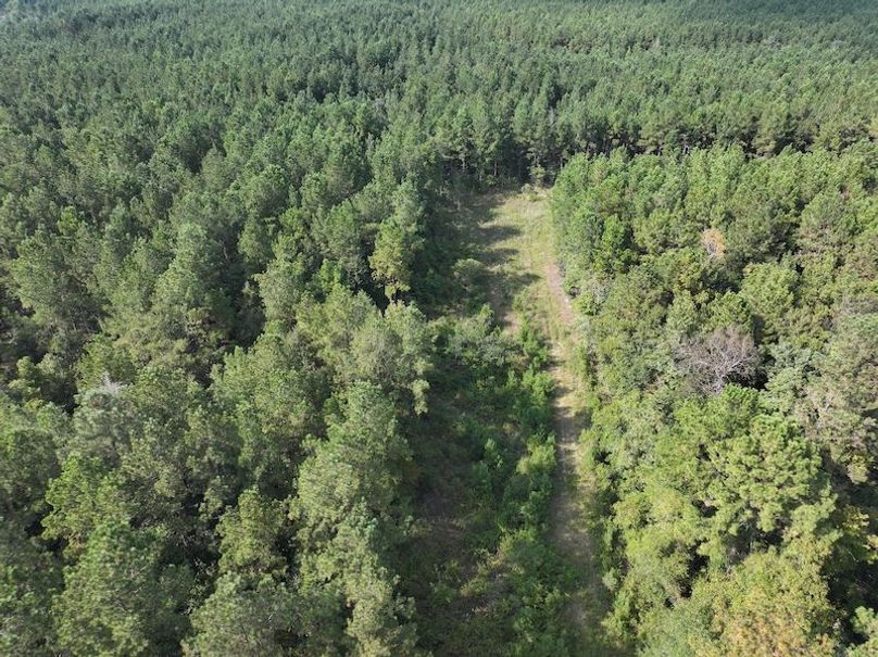 dji_fly_20250915_161300_0484_1758029008202_photo