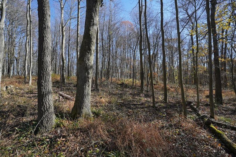 Somerset, 10.91, Tinkey-50