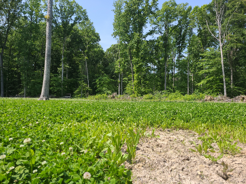 26.48ac_McKenneyLn_QAnnes_44