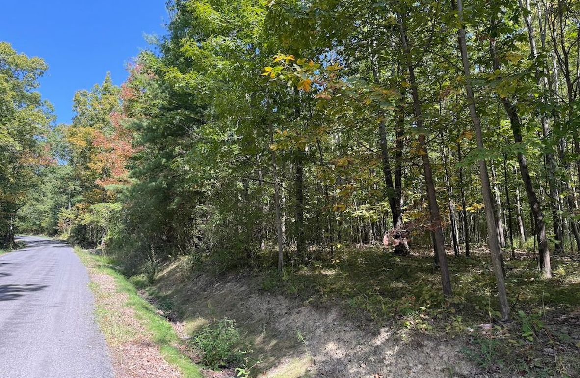 Chemung_20.82_Meyers Photo 1