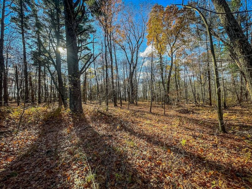 Portage 150.81 JMJK Prop-11