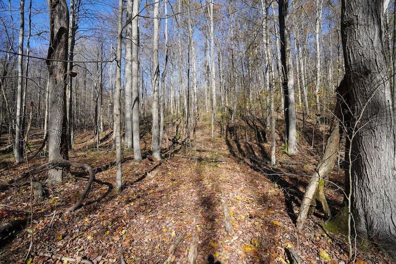 Somerset, 10.91, Tinkey-21