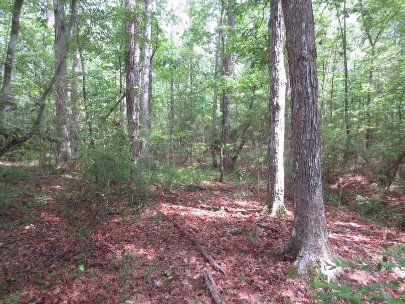 1E248948-210C-492C-B225-93C23F36C820_1_105_c