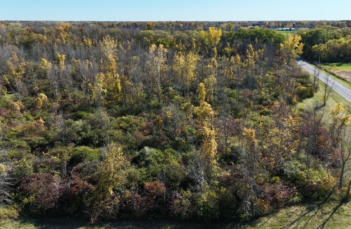 1 DJI_20251017031028_0001_D