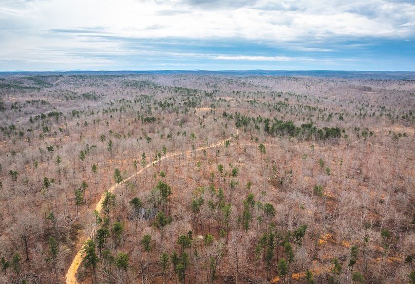 DJI_20250403120338_0568_D