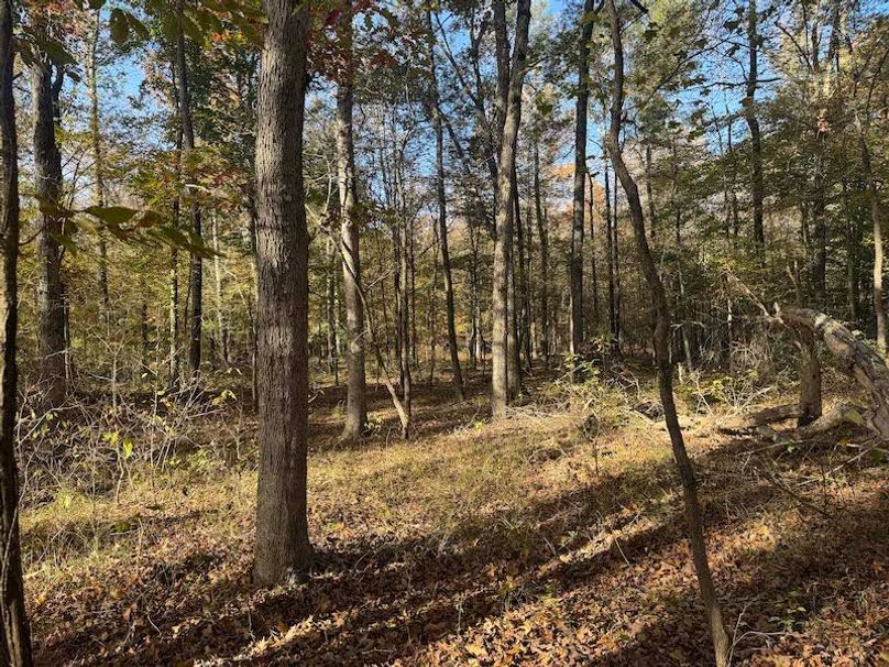 Jeff 11720251111_0205