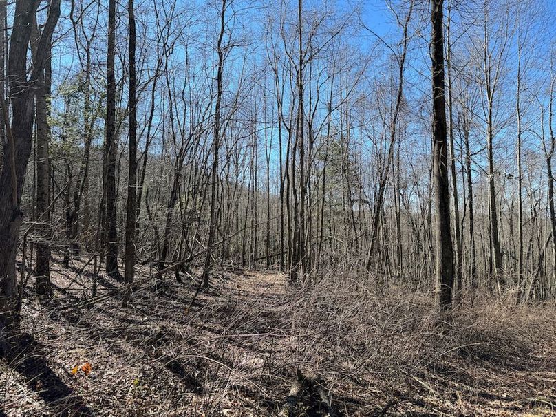 Cherokee 118.85 Harris Top-05