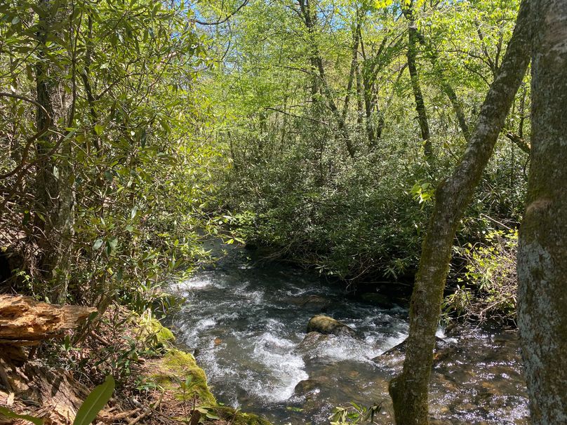 Graham 7.756 Barton-02