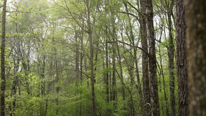 Marion TX 143 and 117 Featured_WEB.00_04_32_00.Still009