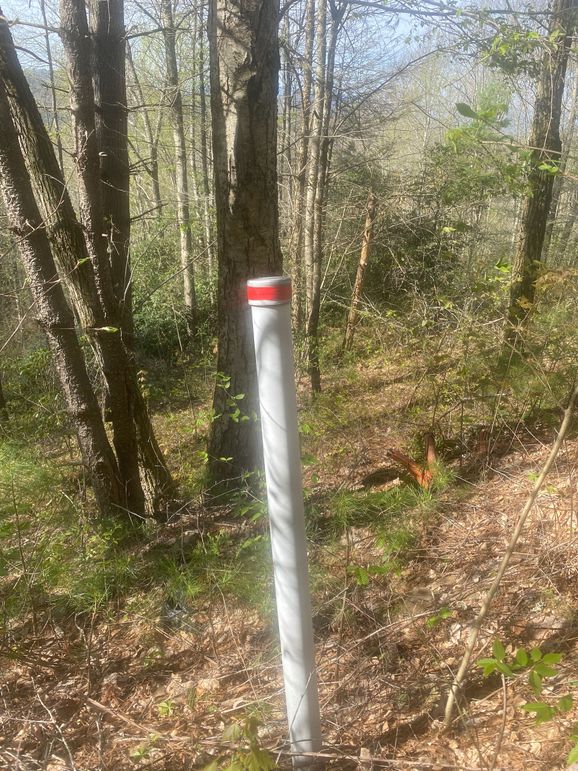 Jackson 2.19 Mansmith-04