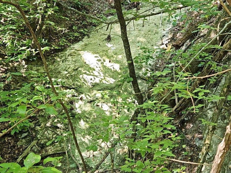 DJI_20240808_104643_156