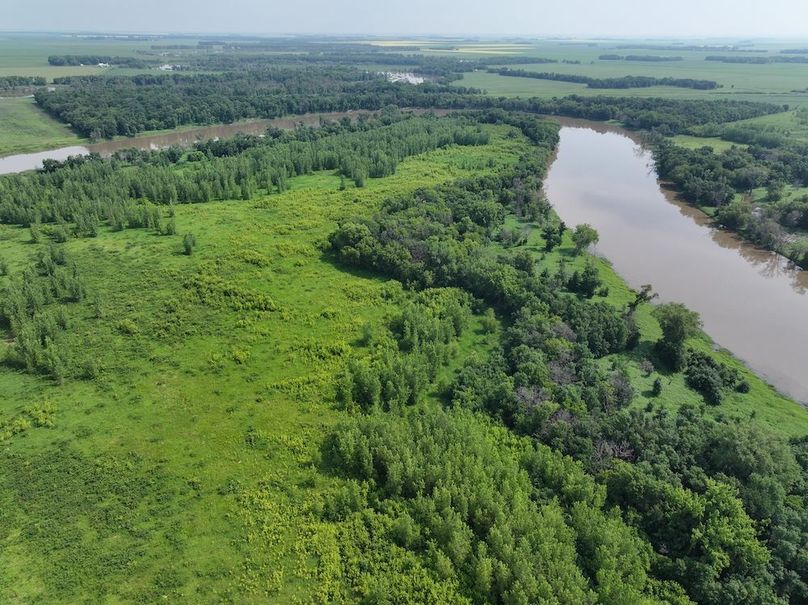 DJI_20240708111316_0206_D