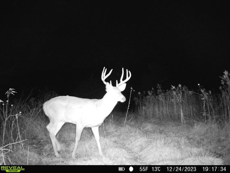 860322065128164-1-4-12242023191734-V-W1006638