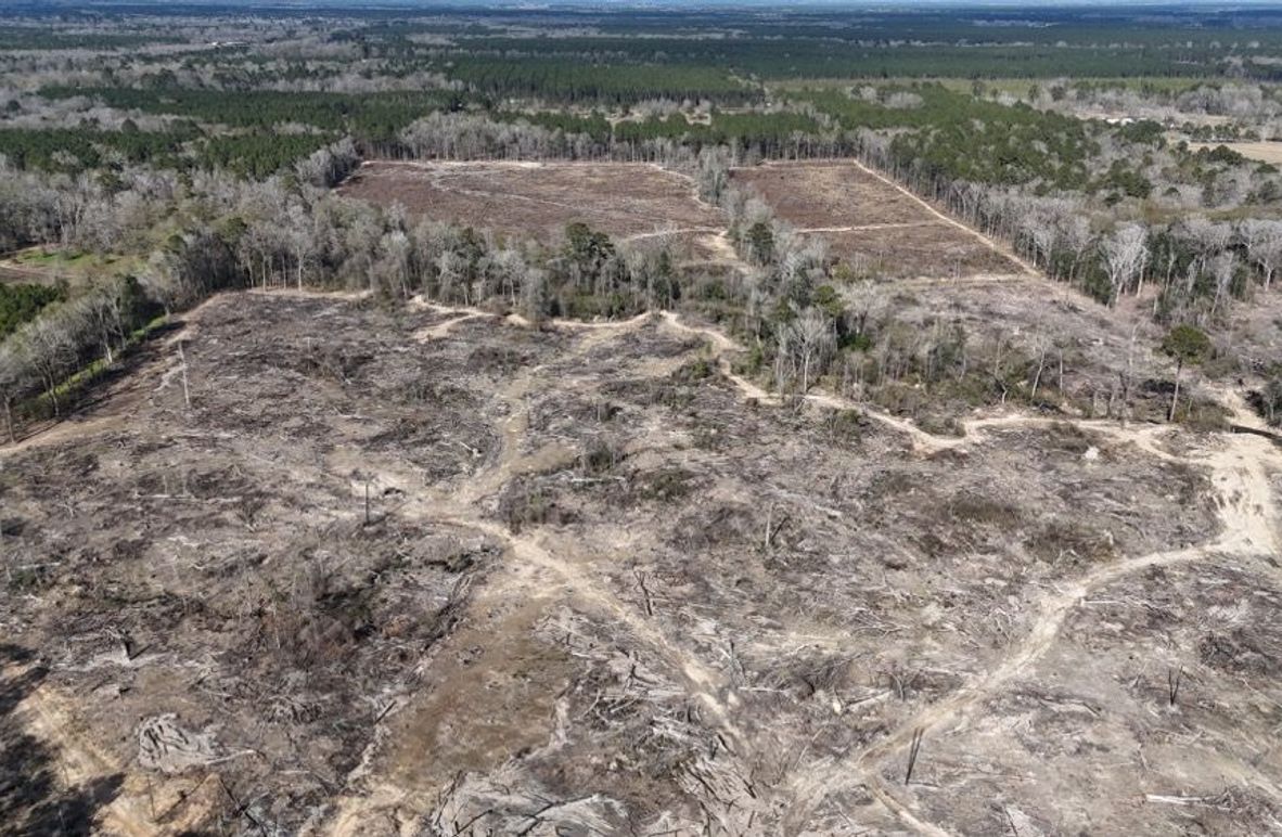 DJI_20260120135218_0033_D