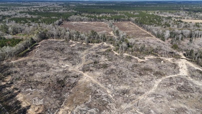 DJI_20260120135218_0033_D