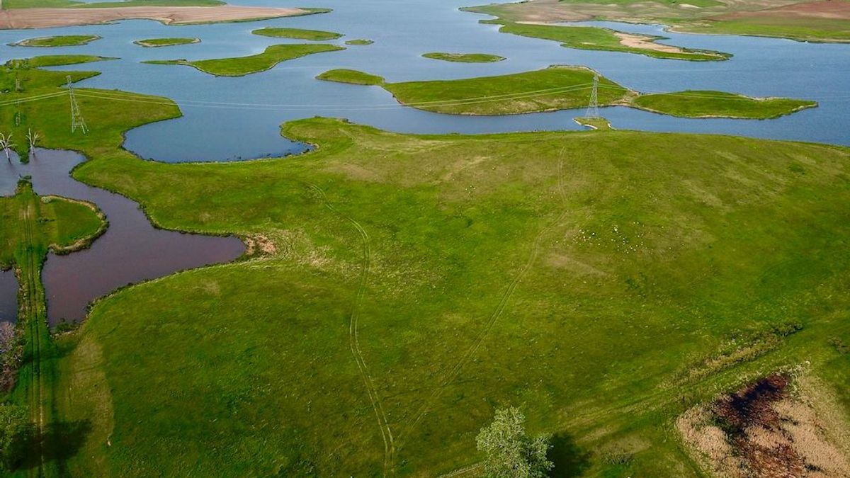 Amazing Waterfowl Hunting Property Whitetail Properties