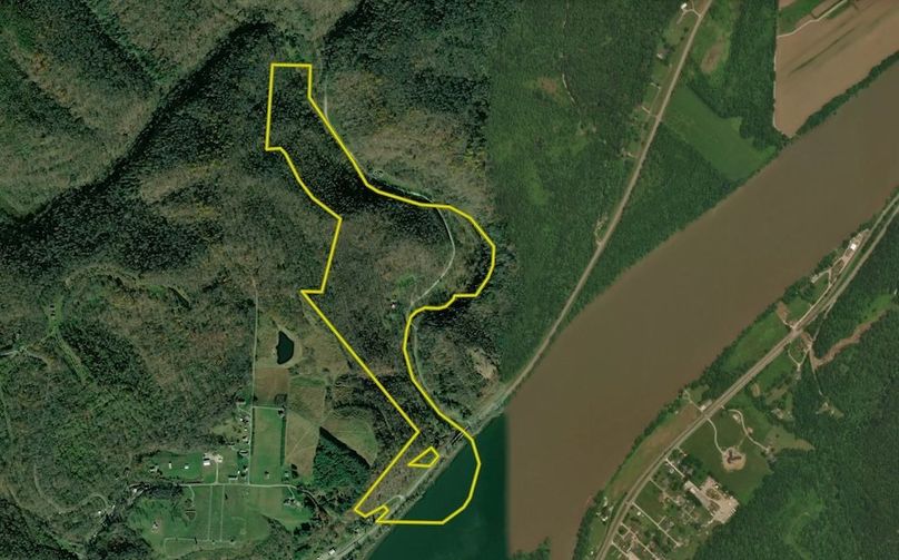 Screenshot 2025-08-08 at 6.14.42 PM