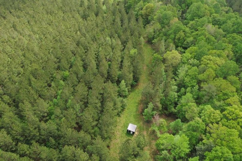 DJI_0037